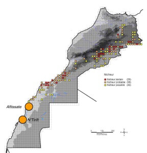 SCOINQ_map