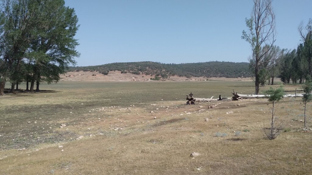 Dayet Hachlaf est devenue une prairie humide après son assèchement principalement à cause de la sécheresse (le pompage de l'eau est aussi un facteur contributif).